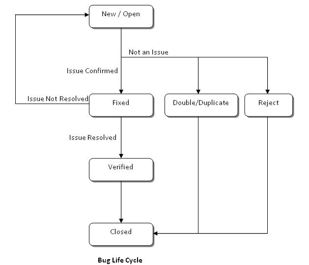 Bug Life Cycle